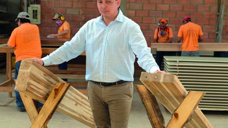 La industria de la teca en Ecuador espera su expansión