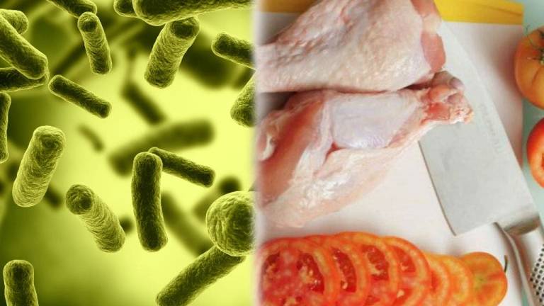 Proponen método para reducir bacteria E.coli en alimentos