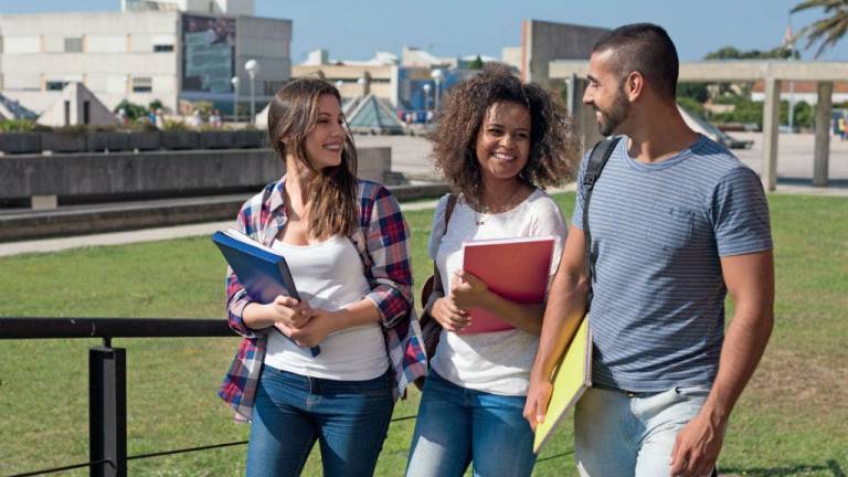 Universidades, en busca de la excelencia