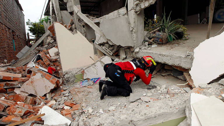 Seis colombianos entre los fallecidos por terremoto