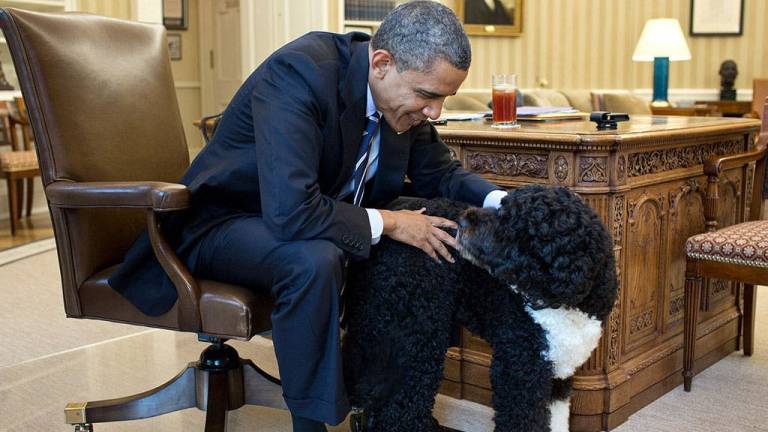 Detienen a sujeto que trató de secuestrar al perro de Obama