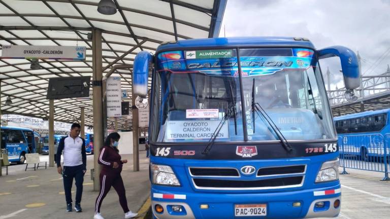 Así operaba una banda para robar en transportes públicos de Quito: hay 8 procesados por asociación ilícita