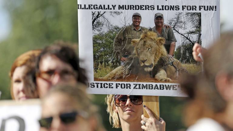 EE.UU. abre investigación por muerte de león Cecil