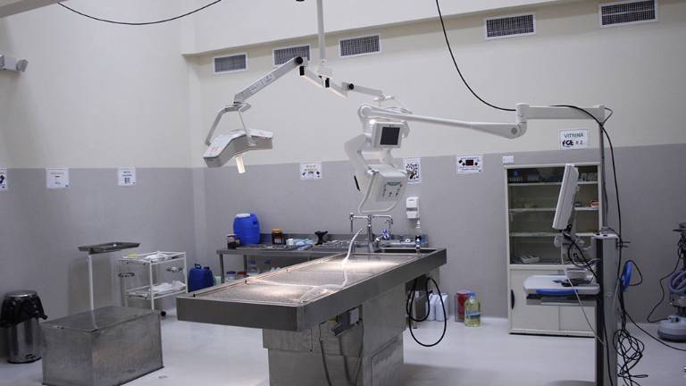 Cara a cara con la muerte