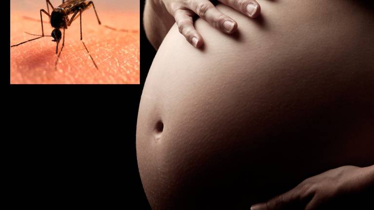 Ecuador recomienda a mujeres evitar embarazos en zonas de riesgo por zika