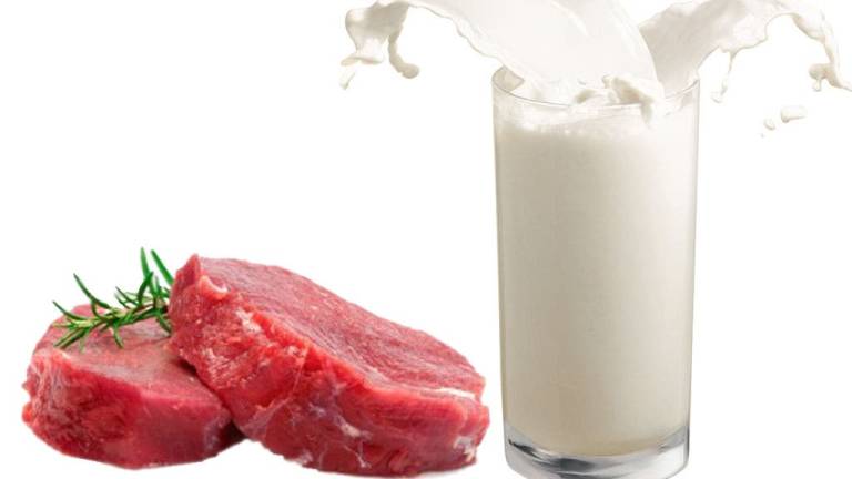 Leche y carnes orgánicas tienen 50% más de ácidos grasos Omega 3