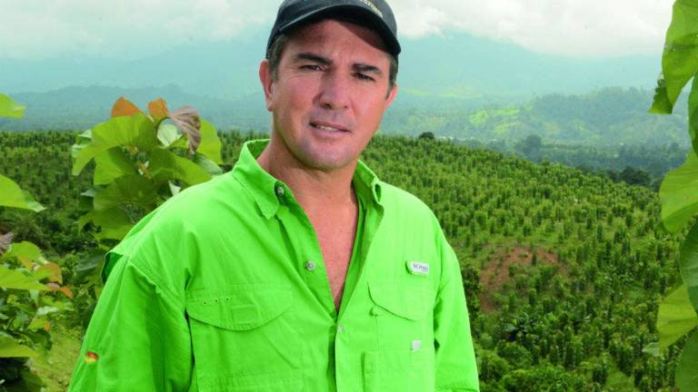 La industria de la teca en Ecuador espera su expansión