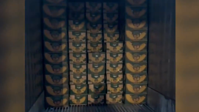 VIDEO | Rusia incauta 1,5 toneladas de cocaína en un barco con bananas que llegó de Ecuador