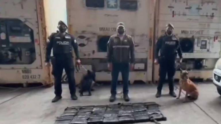 Los uniformados, con la ayuda de canes antidrogas, localizaron el contenedor.