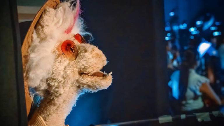 Orquesta Sinfónica de Guayaquil celebra el Mes del Niño con el concierto “El Carnaval de los Animales”