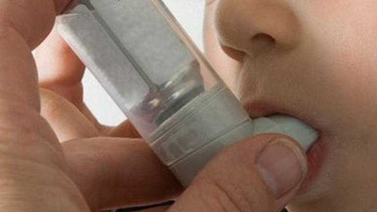 Bacterias intestinales protegen a los niños del asma