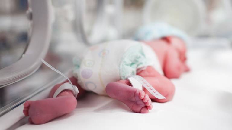 Algoritmo ayuda a mantener estable la temperatura de bebés en incubadoras