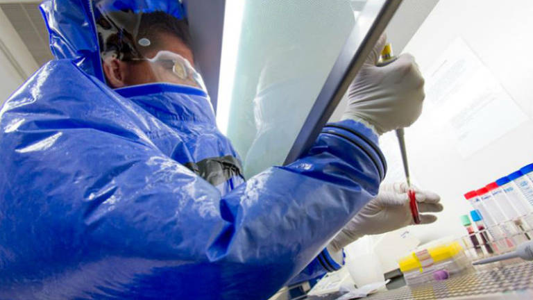 Investigadores japoneses aseguran que pueden detectar el ébola en menos de 12 minutos