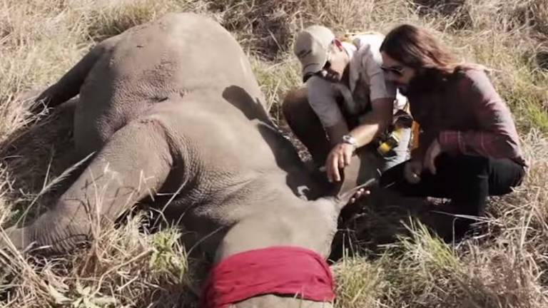 Jared Leto, embajador de WWF para luchar contra la caza furtiva