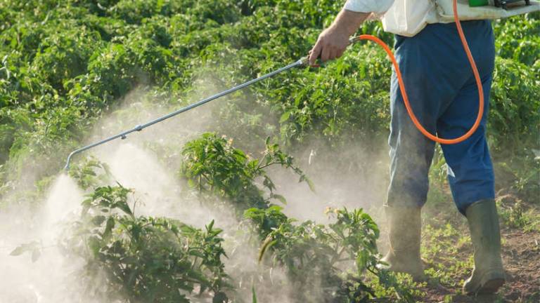 La OMS declara cinco pesticidas como cancerígenos &quot;posibles&quot; o &quot;probables&quot;