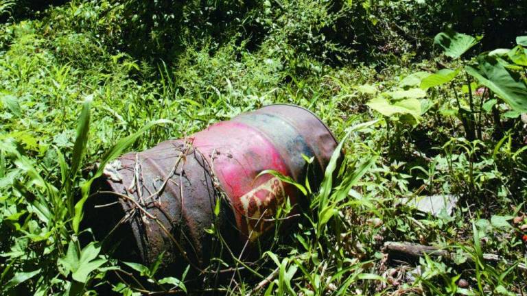 Víctimas ecuatorianas de Chevron &quot;globalizan&quot; su lucha para evitar impunidad
