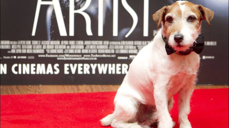 Muere Uggie, el perro estrella de "The Artist"