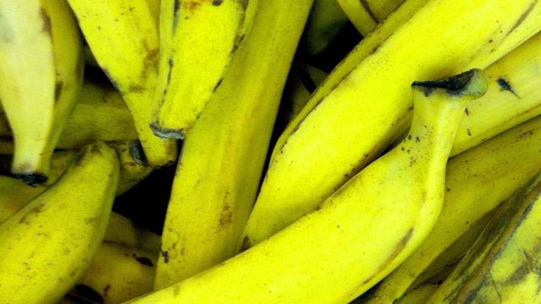 Policía alemana halla 386 kilos de cocaína en cajas de plátanos colombianos