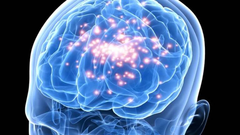 Descubren tratamiento para la epilepsia basado en el metabolismo