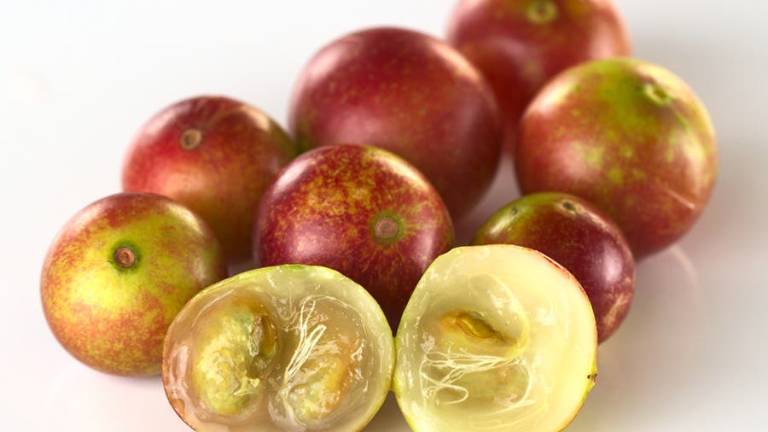 Científicos revelan beneficios para la salud de la fruta amazónica camu-camu