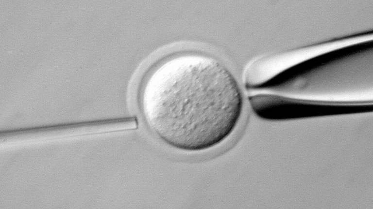 Polémica científica ante estudio chino que modificó ADN en embriones humanos