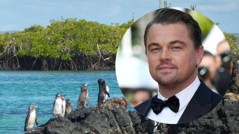 Leonardo DiCaprio felicitó a Ecuador por la ampliación de la Reserva Marina de Galápagos
