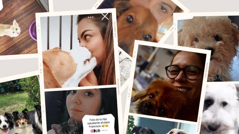 “Foto de tu hijo saludando al papa Francisco”, la respuesta de las redes sociales ante las declaraciones del pontífice