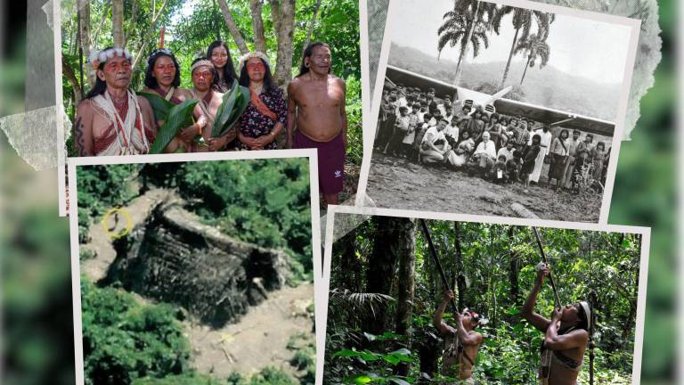 La histórica sentencia contra Ecuador por los pueblos Tagaeri y Taromenane
