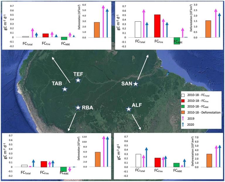 $!ESTUDIO. Luciana Gatti, reconocida investigadora del clima en la Amazonía, analizó el flujo del carbono provocado por incendios y la deforestación.