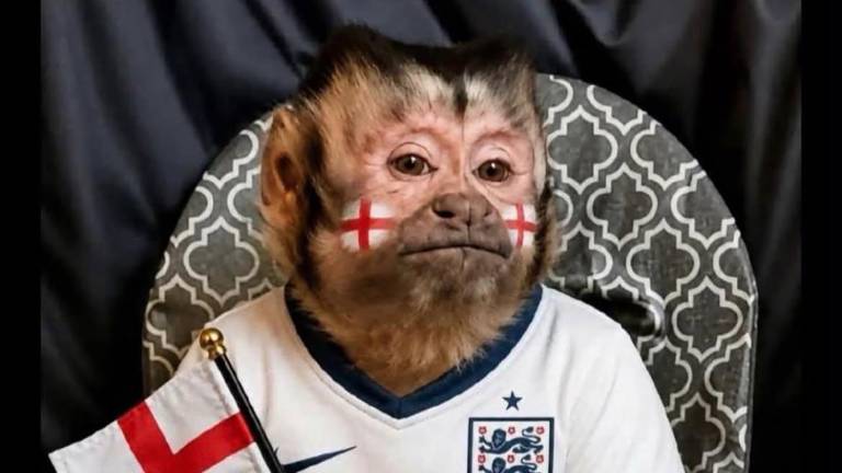Los mejores memes de los aficionados ecuatorianos tras la eliminación de México ante Inglaterra