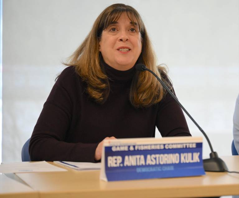 $!Anita Kulik señaló haber visto demasiados divorcios en los que las mascotas eran usadas como “fichas de negociación”.