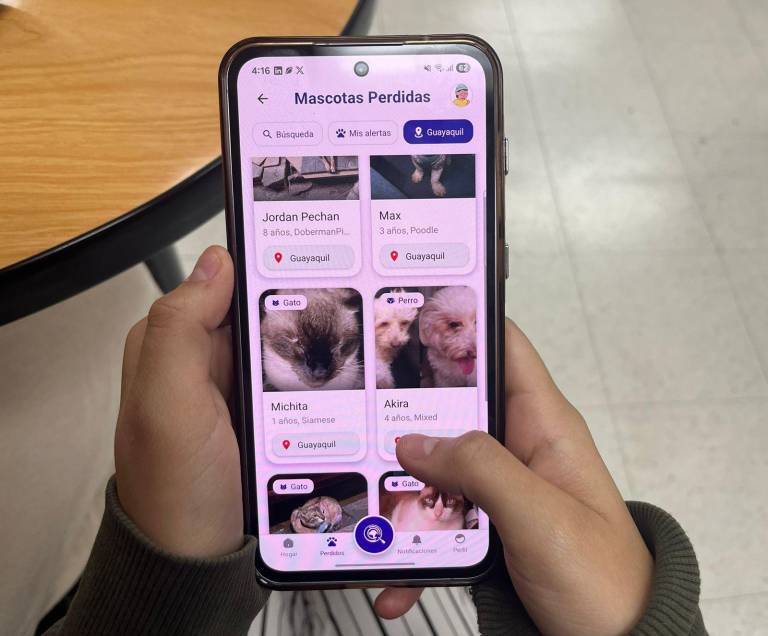 $!La aplicación 'Alerta Patitas', en un dispositivo Android.