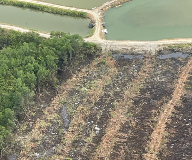 $!Fotografía compartida por la CNA en la que aparece el terreno sobre el que se habría realizado la tala ilegal de manglar.