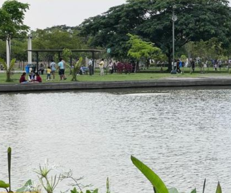$!Jornadas de adopción de animales de compañía son una de las actividades que se realizan con frecuencia en el parque Samanes, el más grande del país.