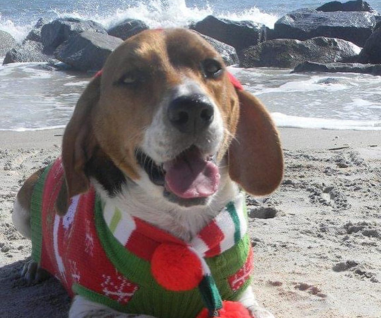 $!Fotografía de Walter cuando era más joven, disfrutando de un día de playa.