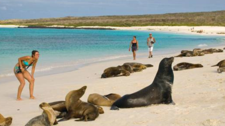 Fondo de Conservación en Galápagos impulsará planes ambientales, científicos y turísticos