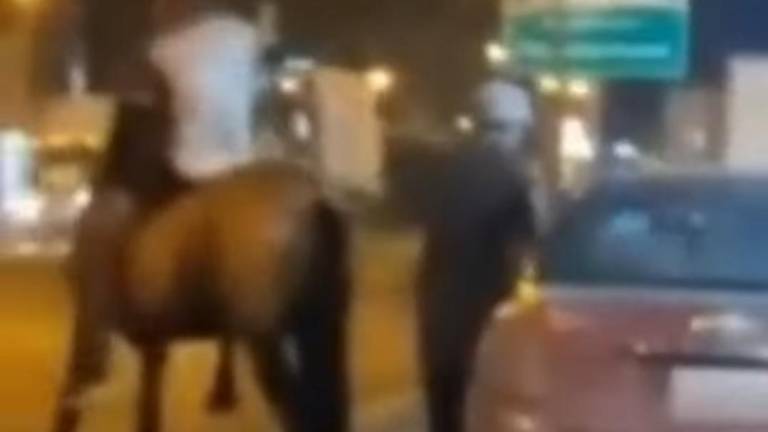 Insólito: hombres usan caballo para asaltar en Guayas