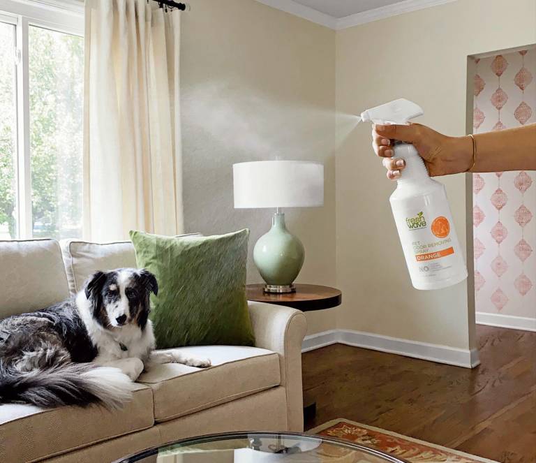 $!¿Cómo evitar y eliminar malos olores de nuestras mascotas en casa?