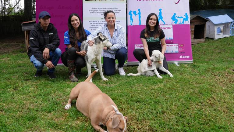 Se celebrará una jornada de adopción de perros en el parque La Carolina de Quito, impulsada por Laboratorios Bagó y Protección Animal Ecuador