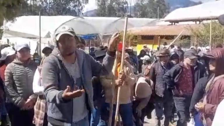 Invasión de manifestantes en Cotacachi: denuncian amenazas y bloqueo en fincas florícolas