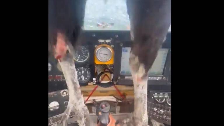 VIDEO: ave se impacta contra avioneta durante vuelo en Vinces; el piloto grabó el inesperado suceso