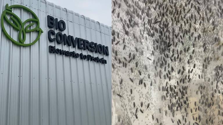 Ecuador tiene la primera planta de bioconversión de la región: de residuos a proteína