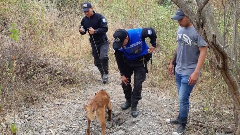 Policía ofrece detalles sobre los cadáveres en fosas clandestinas en Guayaquil