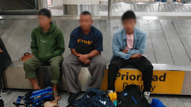 Hallan una docena de iguanas marinas de Galápagos dentro de las mochilas de tres extranjeros en Guayaquil