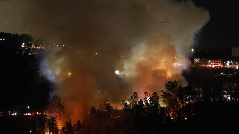 Dictan prisión preventiva para presunto responsable de incendio forestal en La Vicentina, Quito