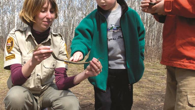 Narcisse, el pueblo canadiense que atrae turistas con las serpientes