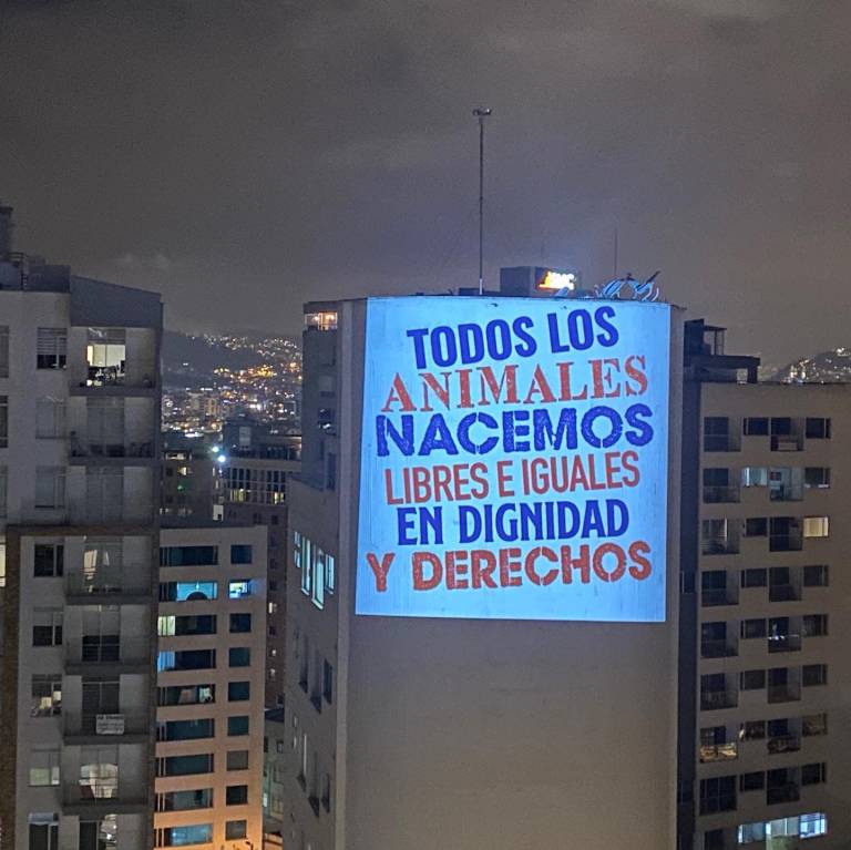 $!Proyección sobre edificios de Quito con consignas a favor de la LOA.
