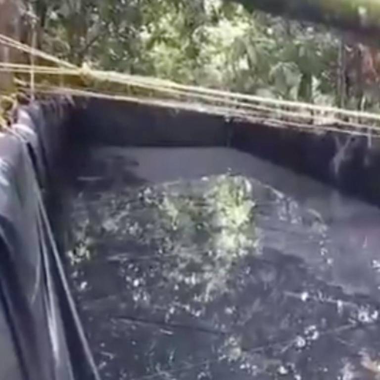 $!Militares localizaron piscina clandestina en Sucumbíos.