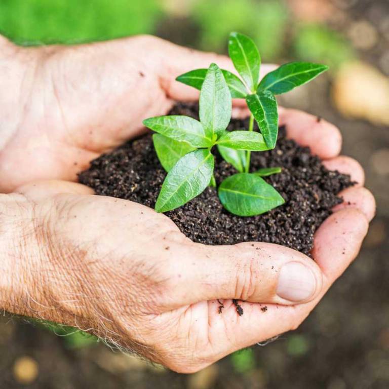 $!BanEcuador amplió horarios para agilizar el cobro.