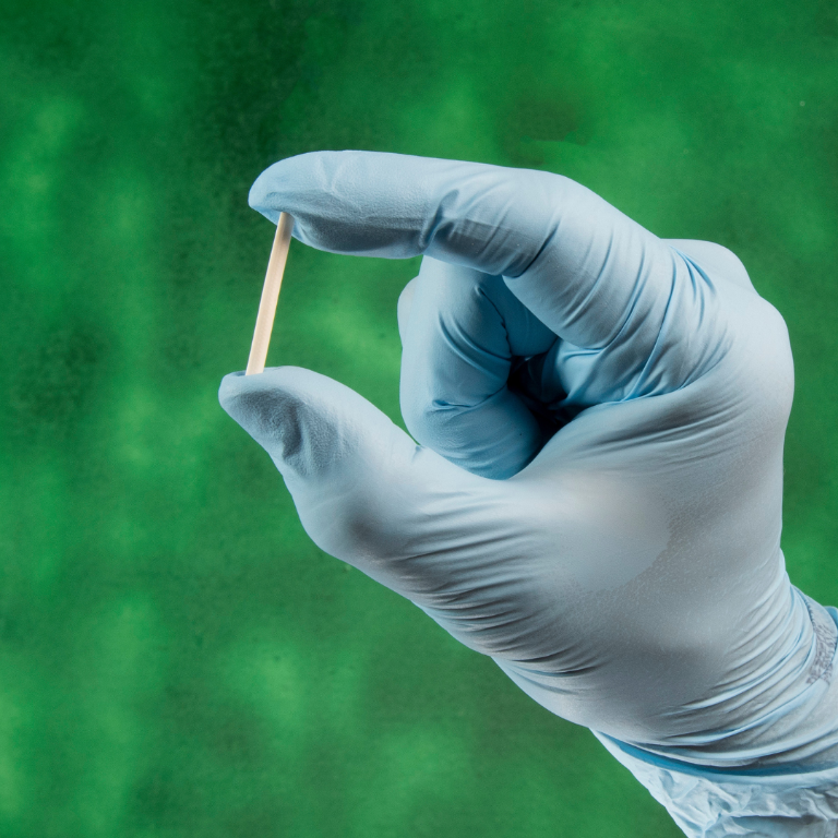 $!¿Cómo será nuestra familia?